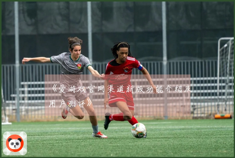 《爱游戏官网渠道新版功能介绍及用户测评》